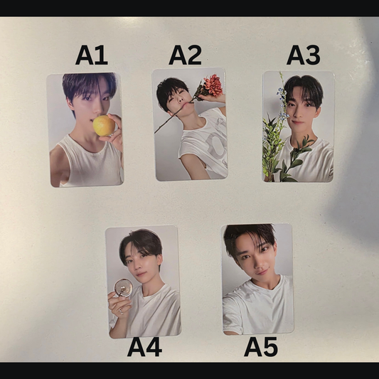 Assorted Seventeen Official Photocards (Spill the Feels / 17 Is Right Here)