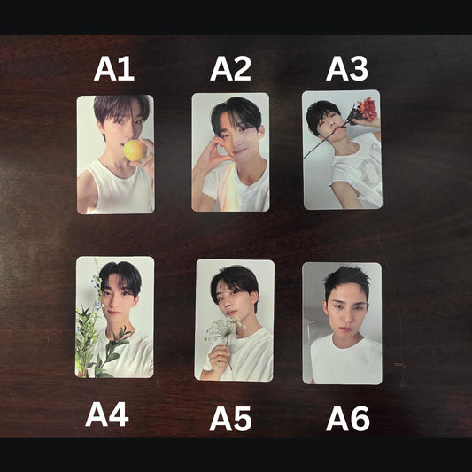 Assorted Seventeen Official Photocards (Spill the Feels / 17 Is Right Here)