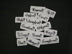 SVT Member Names Vinyl Decals (19 Colors to Choose From!)