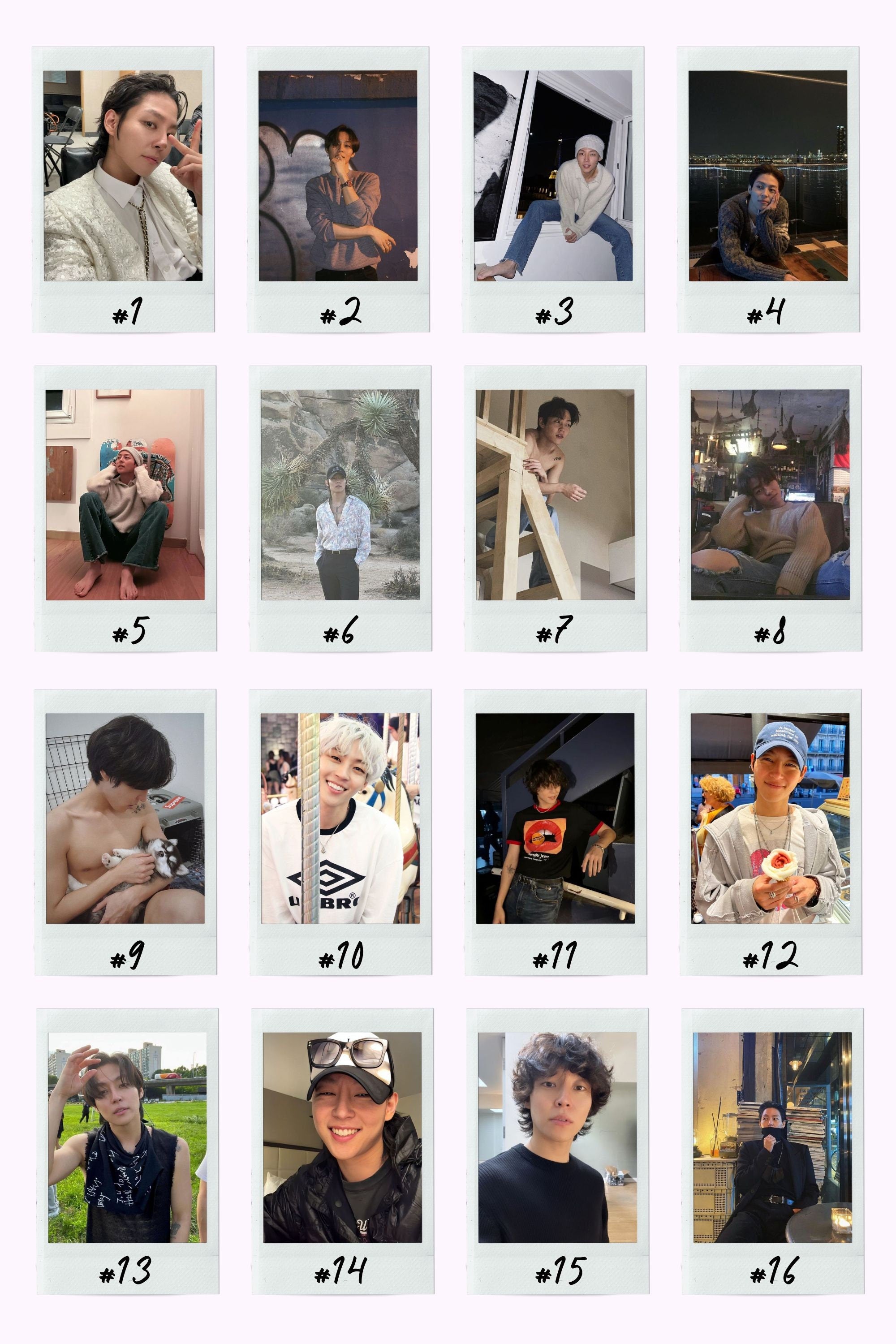 The Rose Boyfriend Material Instant Photos