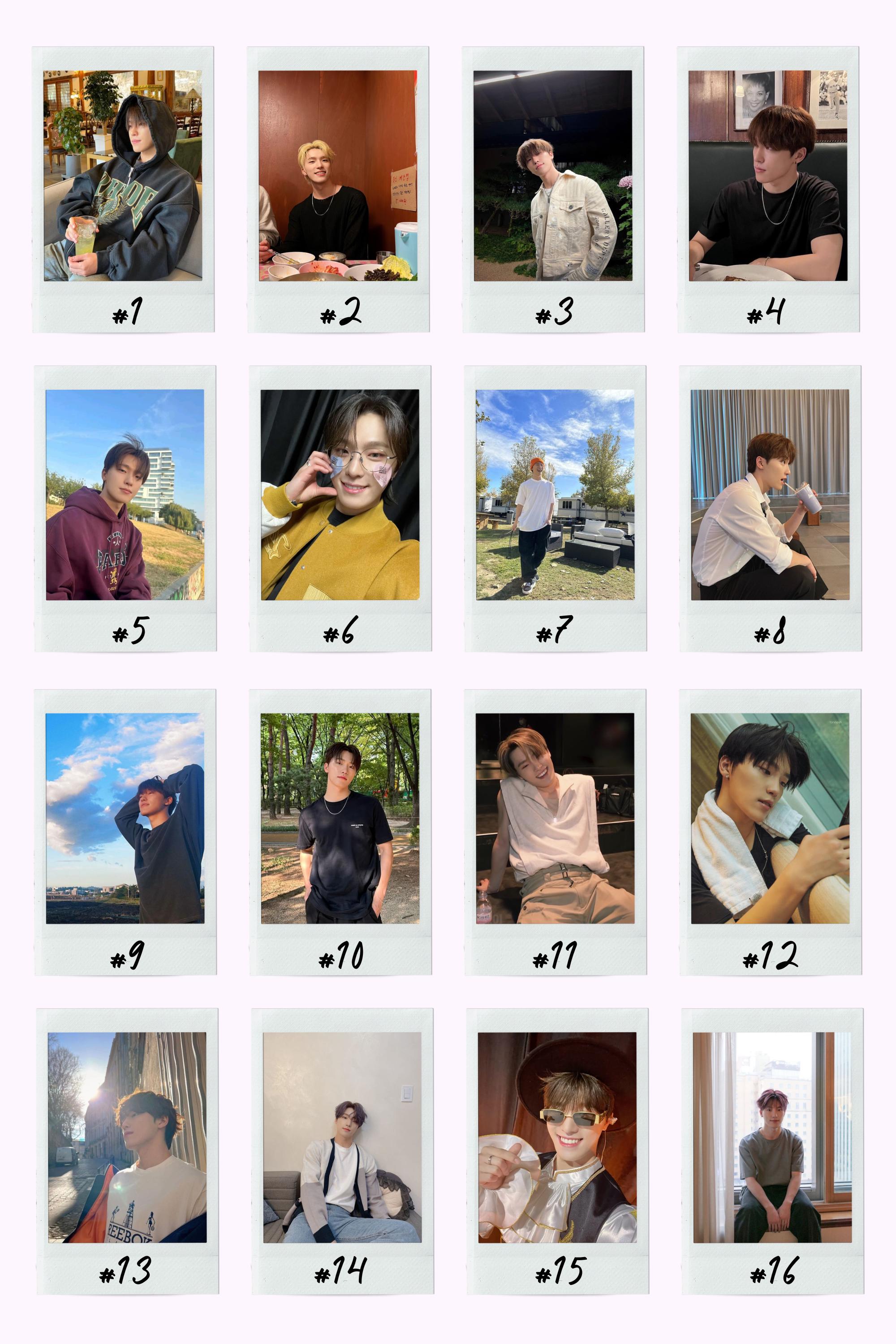 Seventeen Boyfriend Material Instant Photos