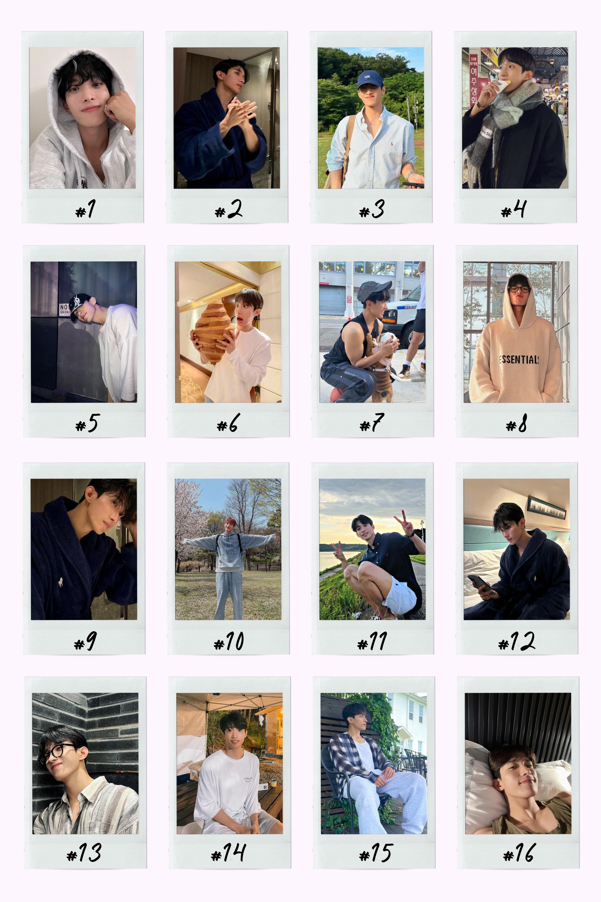 Seventeen Boyfriend Material Instant Photos