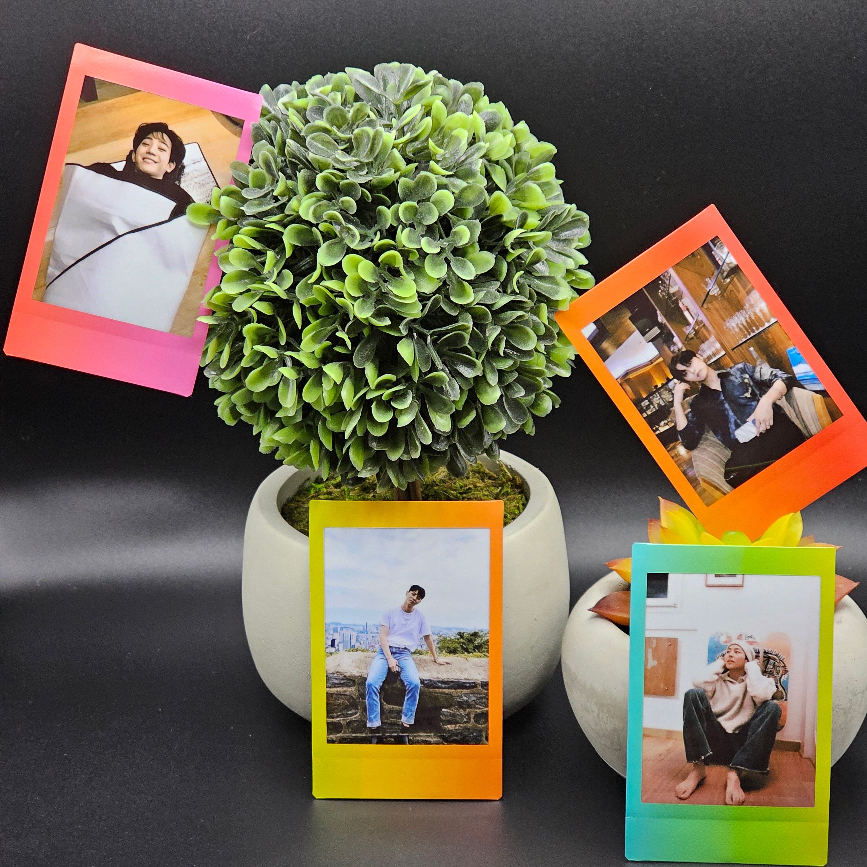 The Rose Boyfriend Material Instant Photos
