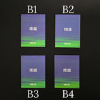 Assorted Stray Kids Official Kpop Photocards