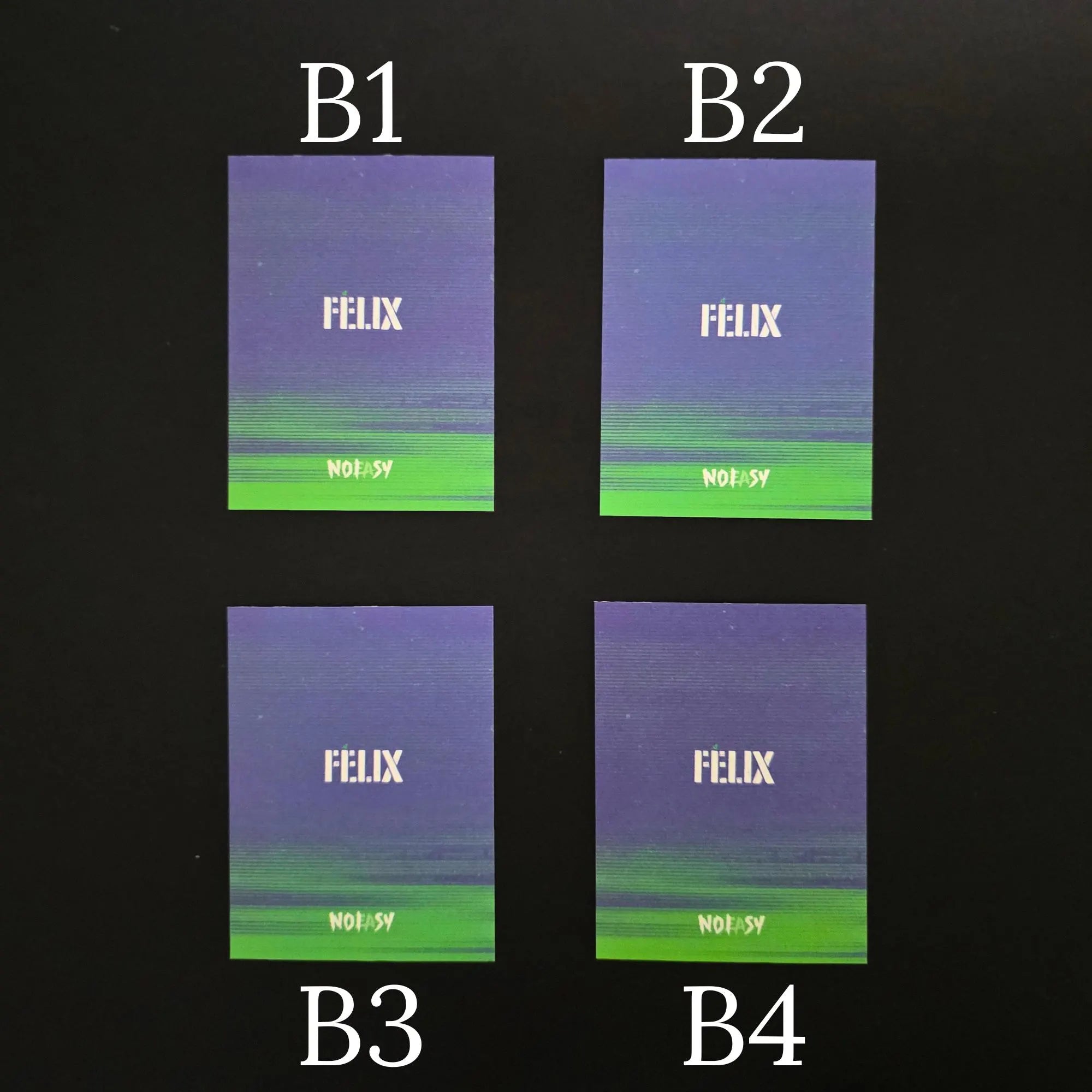 Assorted Stray Kids Official Kpop Photocards