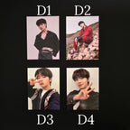 Assorted Stray Kids Official Kpop Photocards