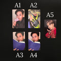 Assorted Official ATEEZ Kpop Photocards