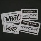 Boy Next Door Vinyl Decals (19 Colors to Choose From!)