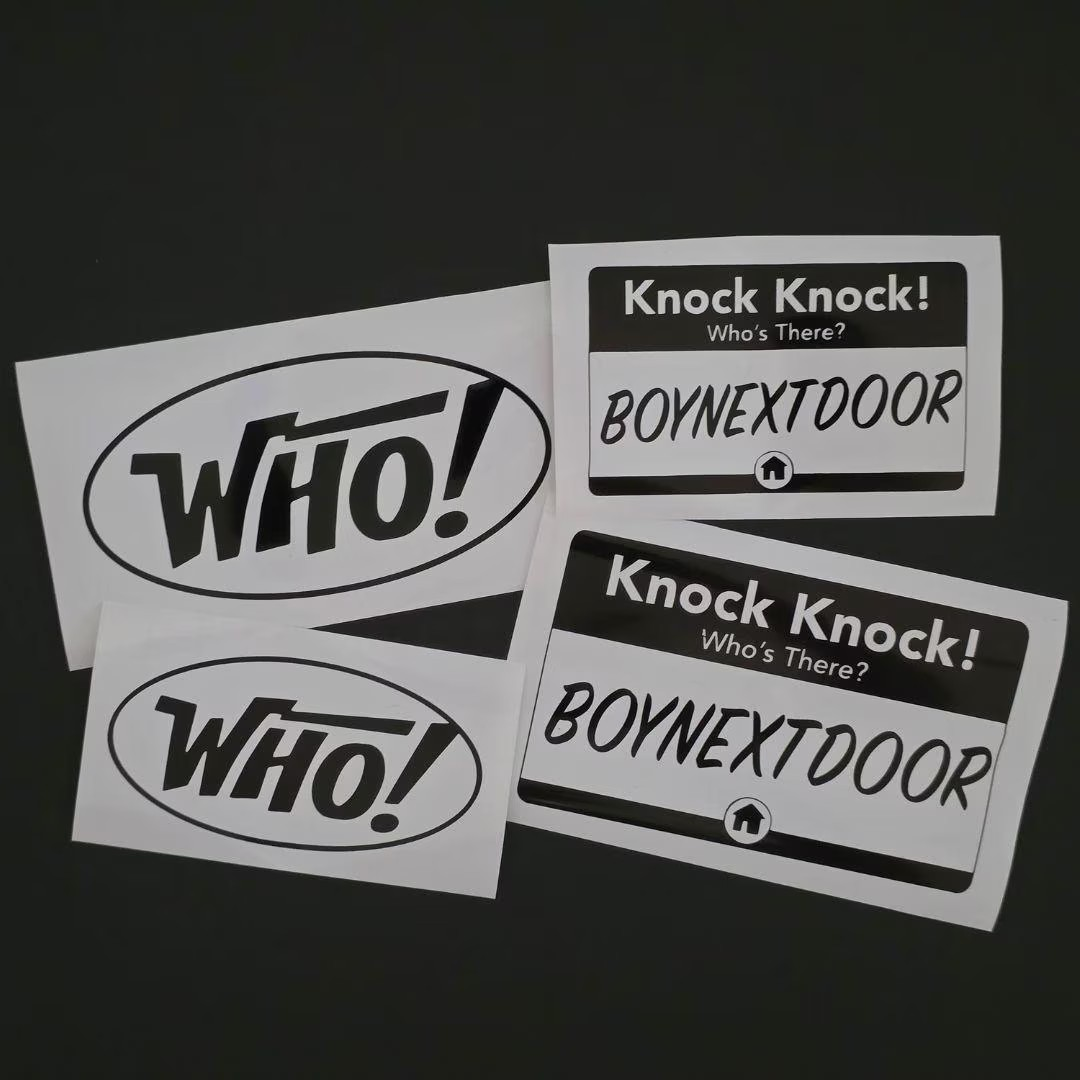 Boy Next Door Vinyl Decals (19 Colors to Choose From!)
