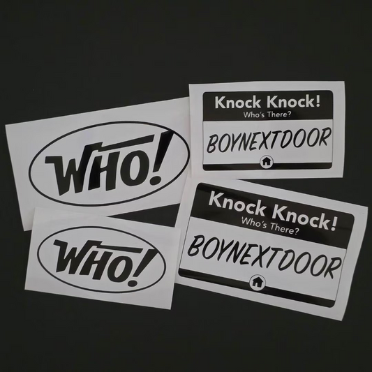 Boy Next Door Vinyl Decals (19 Colors to Choose From!)